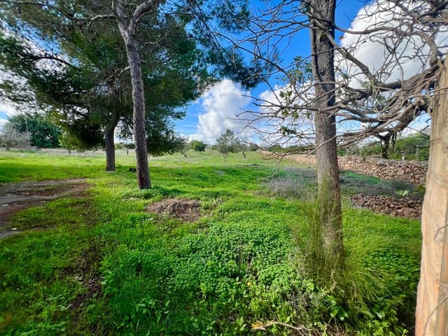 Grunde uden byggetilladelser til salg i Manacor - € 395.000 (Ref: 9359539)