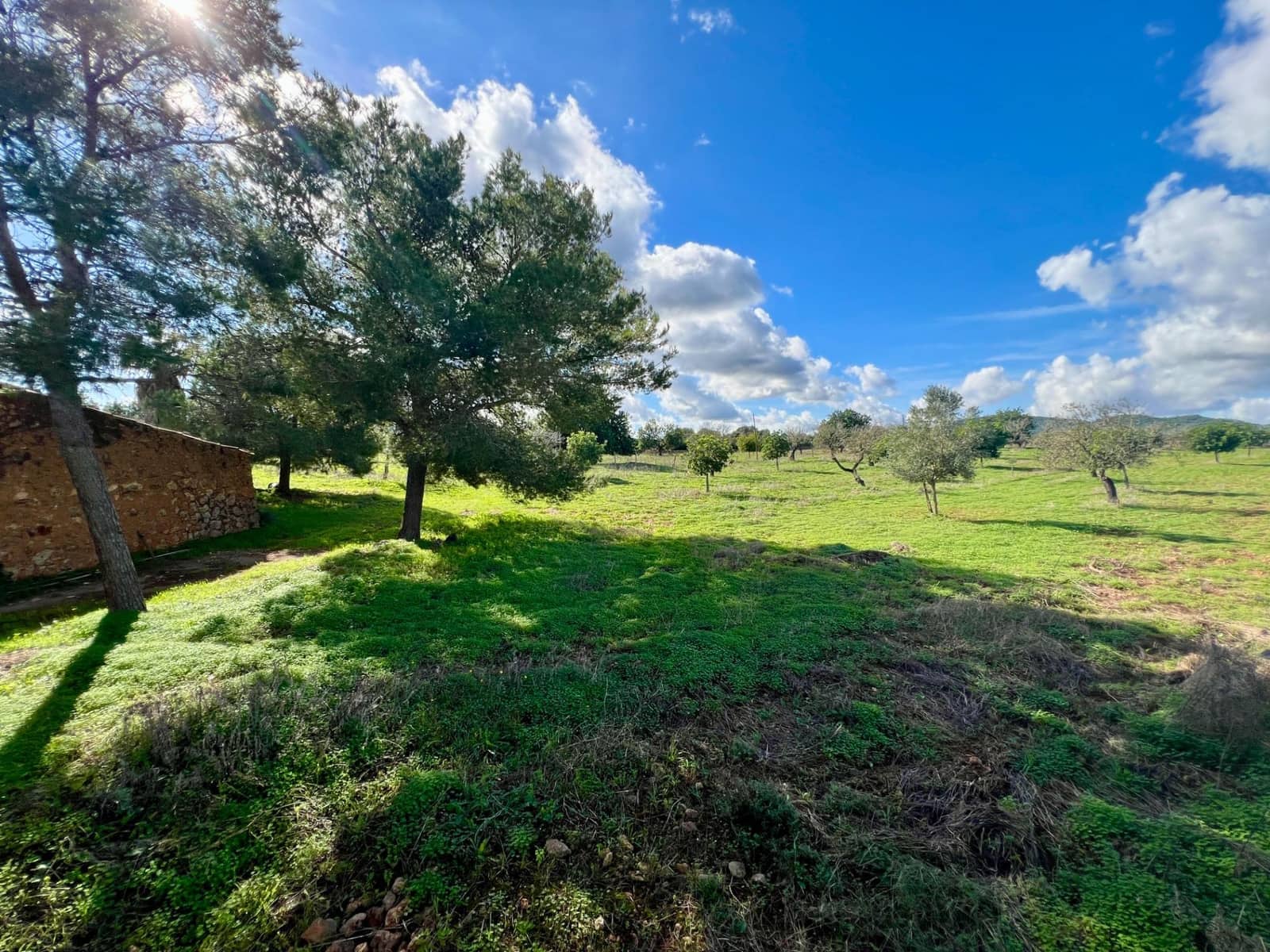 Undeveloped Land for sale in Manacor - € 395,000 (Ref: 9359539)