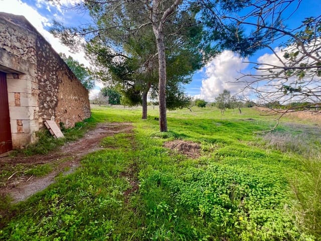 Undeveloped Land for sale in Manacor - € 395,000 (Ref: 9359539)