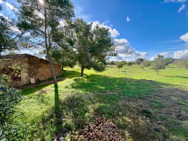 Landgrundstück zu verkaufen in Manacor - 395.000 € (Ref: 9359539)