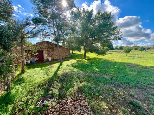 Landgrundstück zu verkaufen in Manacor - 395.000 € (Ref: 9359539)