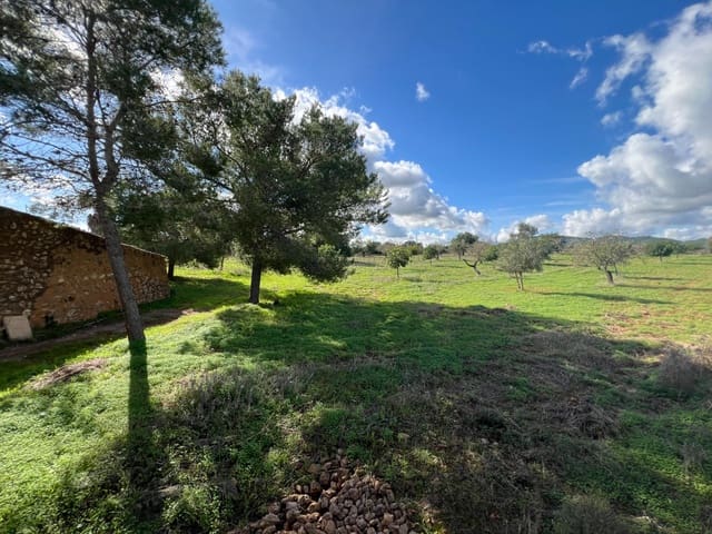 Grond te koop in Manacor - € 395.000 (Ref: 9359539)