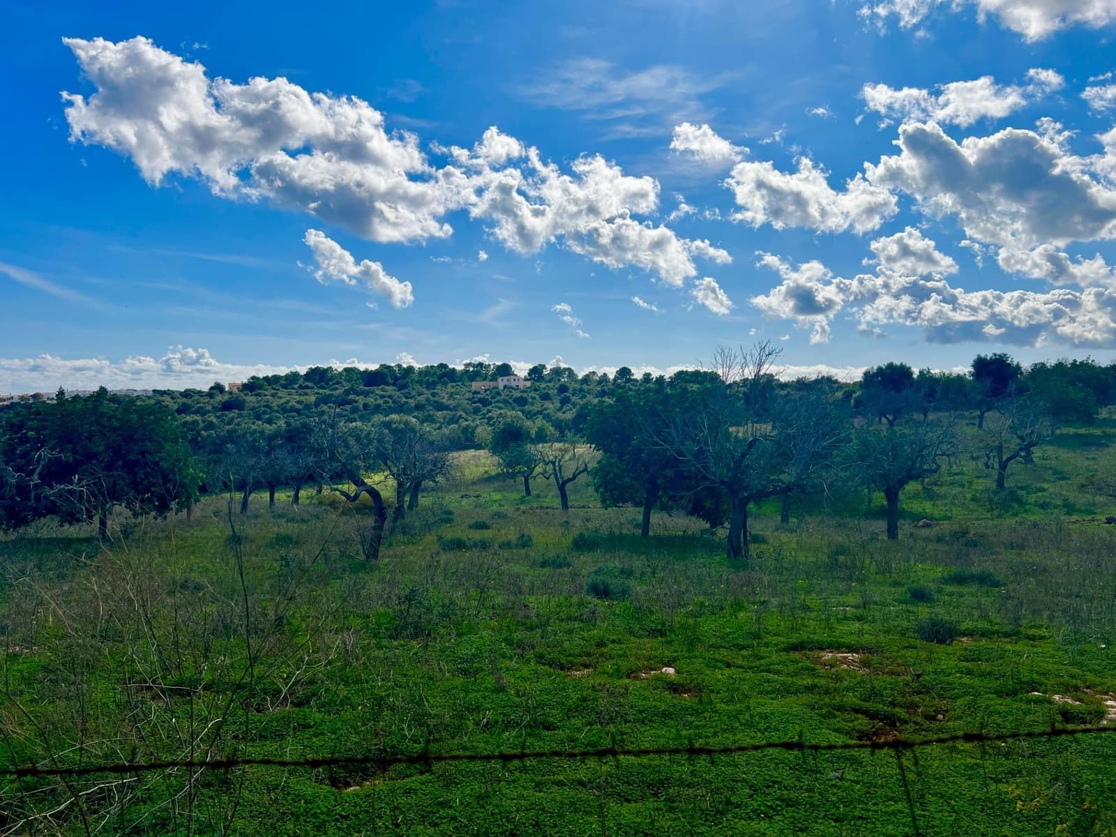 Building Plot for sale in Manacor - € 350,000 (Ref: 9359540)