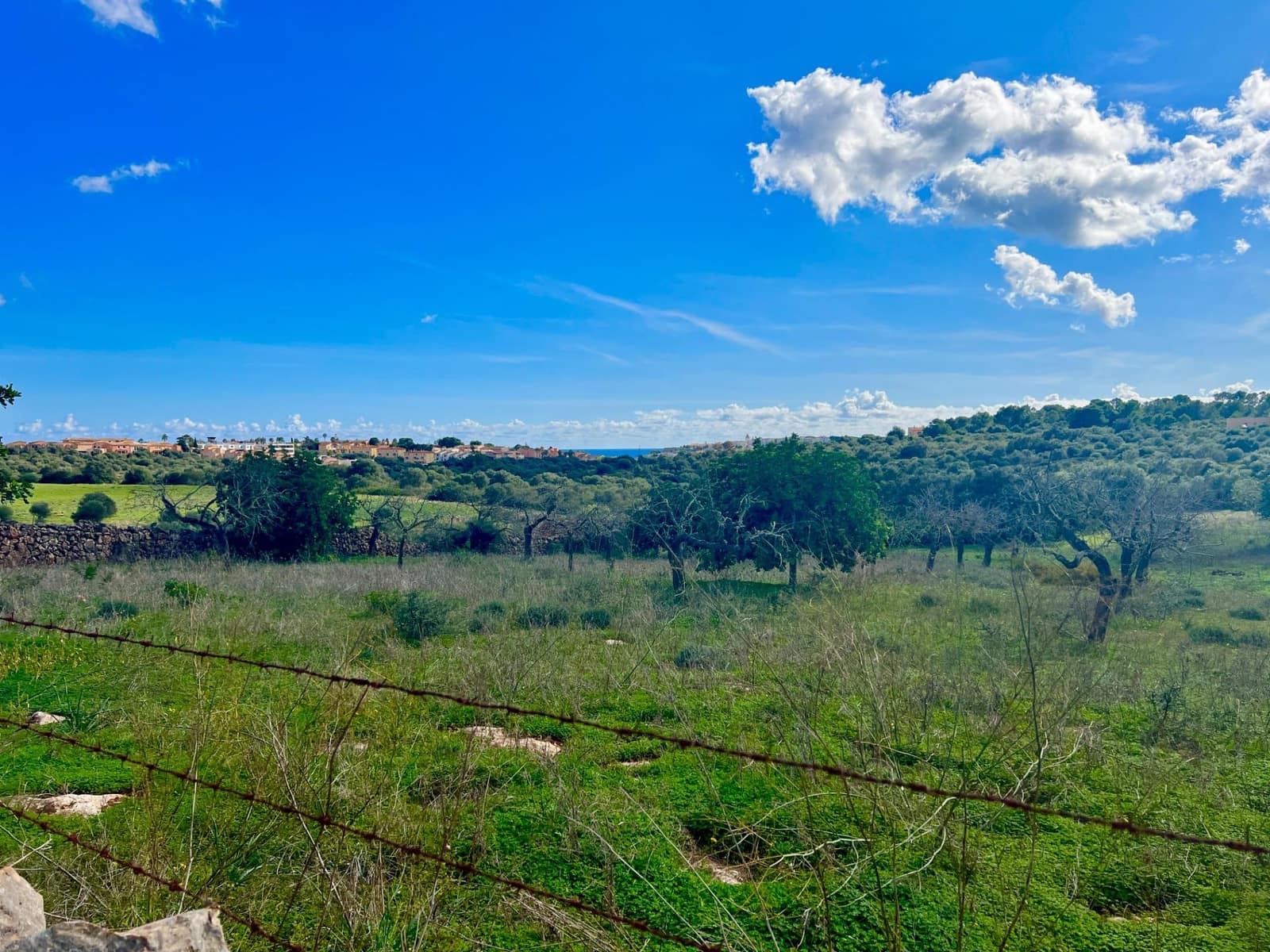 Building Plot for sale in Manacor - € 350,000 (Ref: 9359540)
