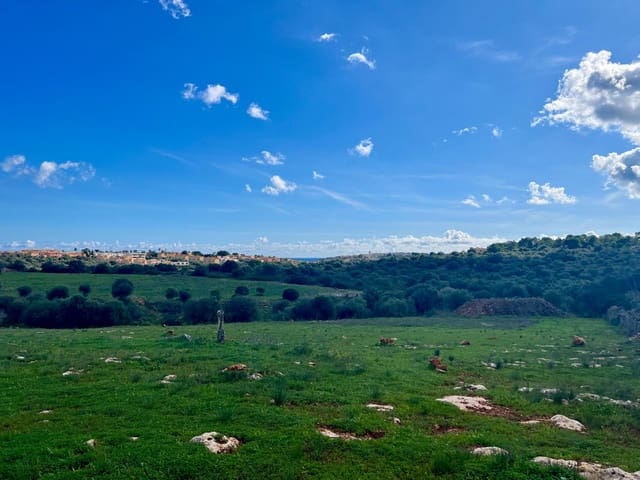 Bauplatz zu verkaufen in Manacor - 350.000 € (Ref: 9359540)