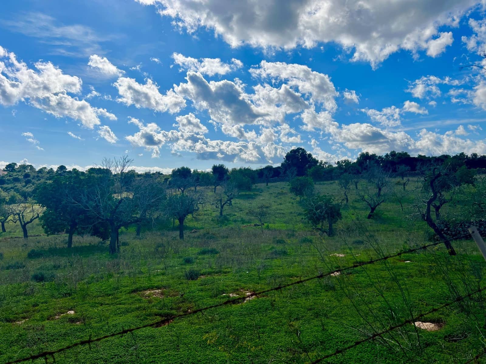 Building Plot for sale in Manacor - € 350,000 (Ref: 9359540)