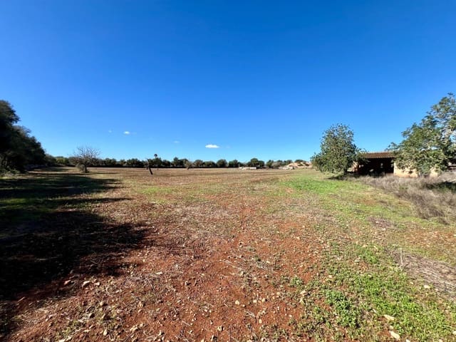 Bauplatz zu verkaufen in Campos - 500.000 € (Ref: 9470370)