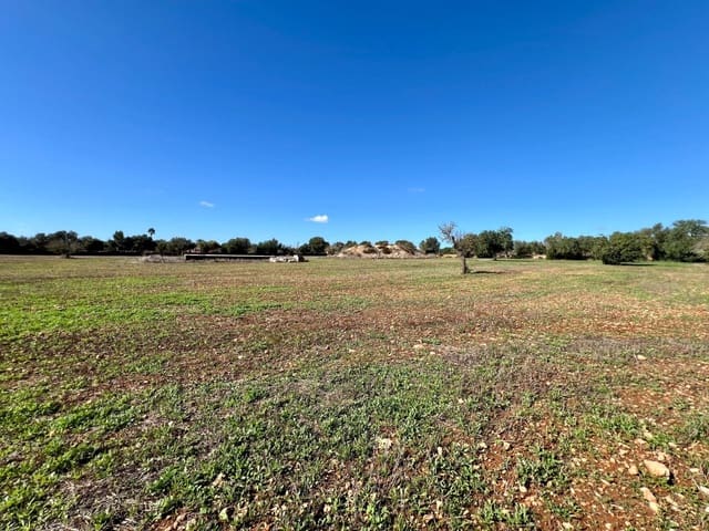 Bauplatz zu verkaufen in Campos - 500.000 € (Ref: 9470370)