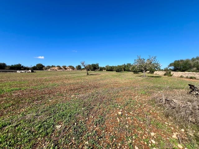 Bauplatz zu verkaufen in Campos - 500.000 € (Ref: 9470370)