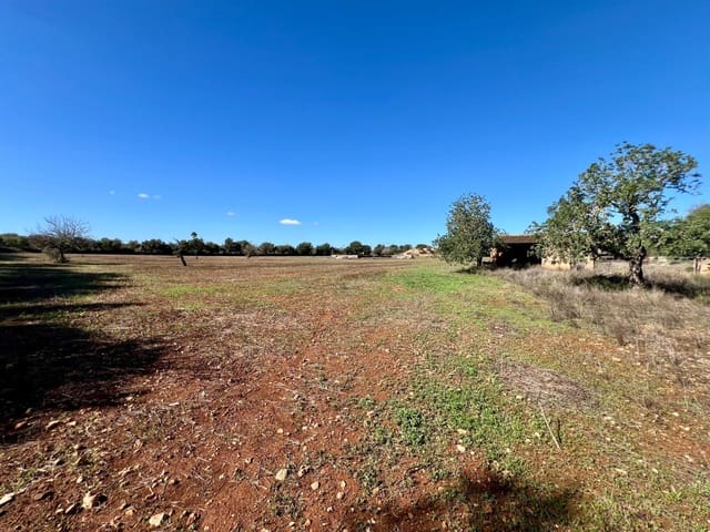 Terreno para Construção para venda em Campos - 500 000 € (Ref: 9470370)