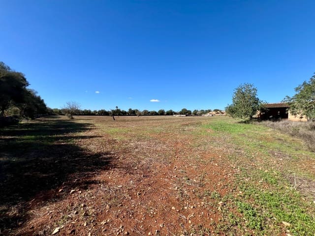 Terreno para Construção para venda em Campos - 500 000 € (Ref: 9470370)