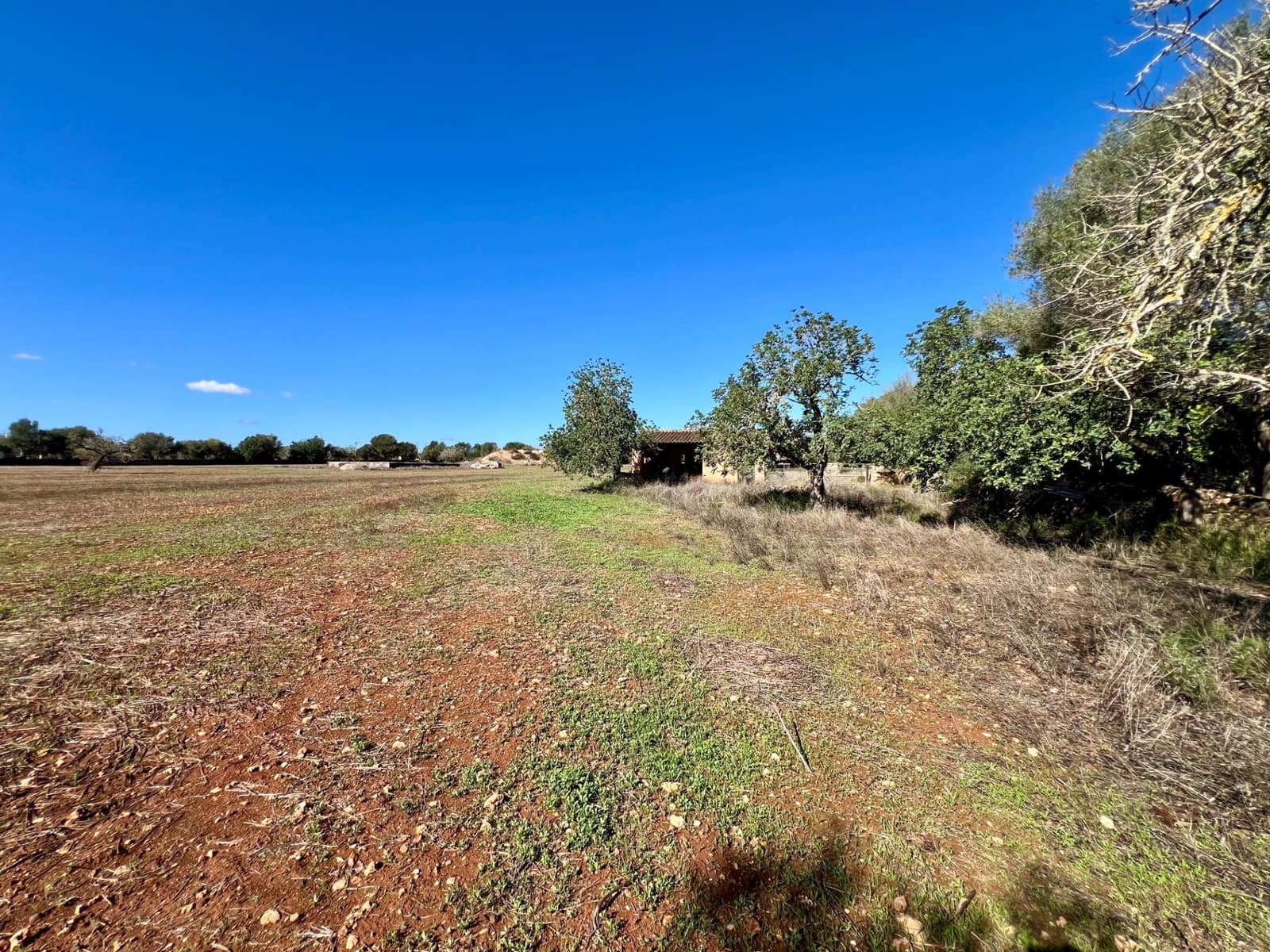 Building Plot for sale in Campos - € 500,000 (Ref: 9470370)