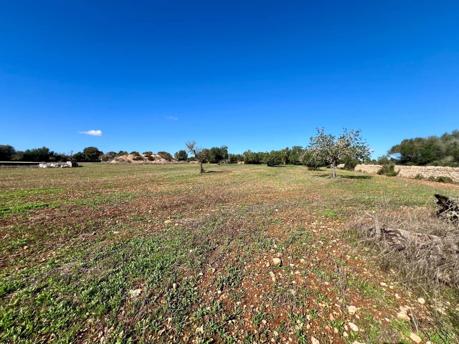 Building Plot for sale in Campos - € 500,000 (Ref: 9470370)