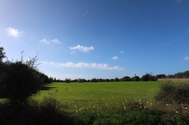 Bouwgrond te koop in Campos - € 315.000 (Ref: 9516073)