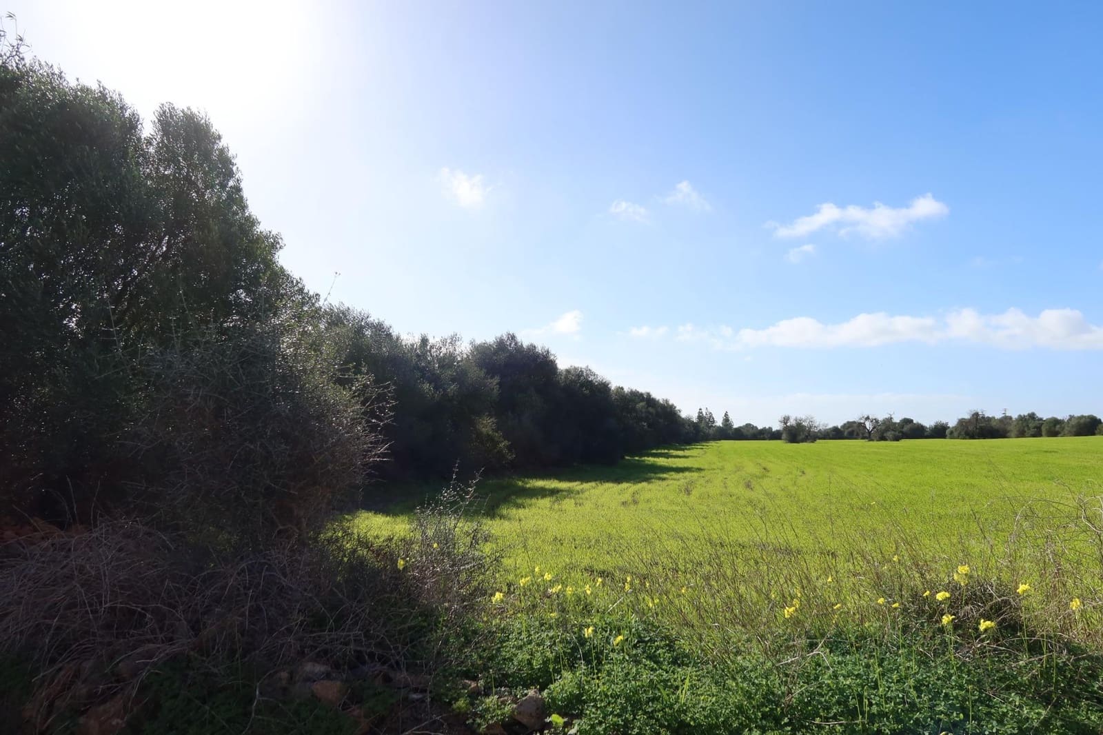 Bouwgrond te koop in Campos - € 315.000 (Ref: 9516073)