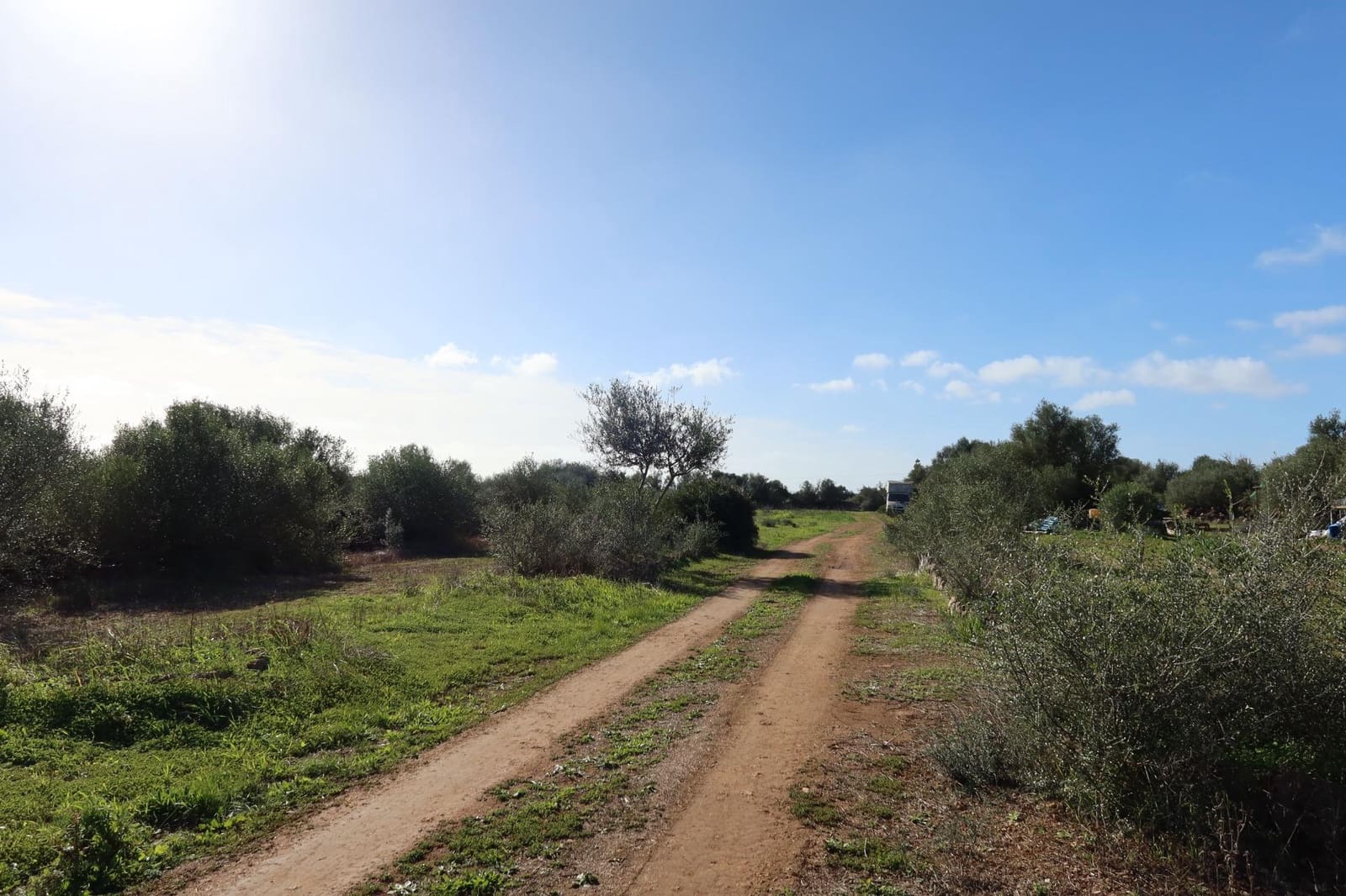 Bouwgrond te koop in Campos - € 315.000 (Ref: 9516073)