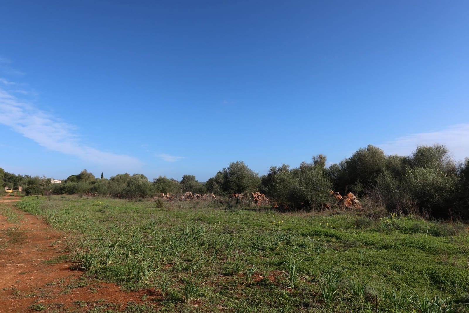 Bouwgrond te koop in Campos - € 315.000 (Ref: 9516073)