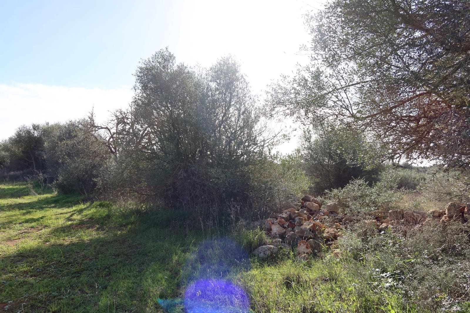 Bouwgrond te koop in Campos - € 315.000 (Ref: 9516073)