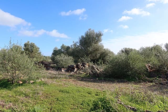 Tomt till salu i Campos - 315 000 € (Ref: 9516073)