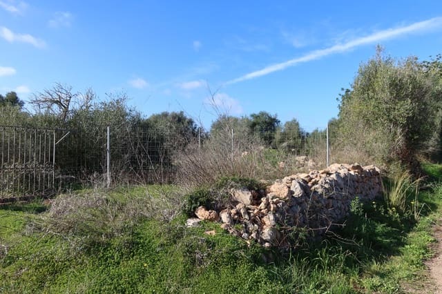 Tomt till salu i Campos - 315 000 € (Ref: 9516073)