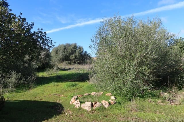 Tomt till salu i Campos - 315 000 € (Ref: 9516073)