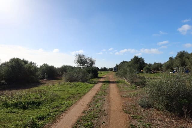 Terreno para Construção para venda em Campos - 315 000 € (Ref: 9516073)