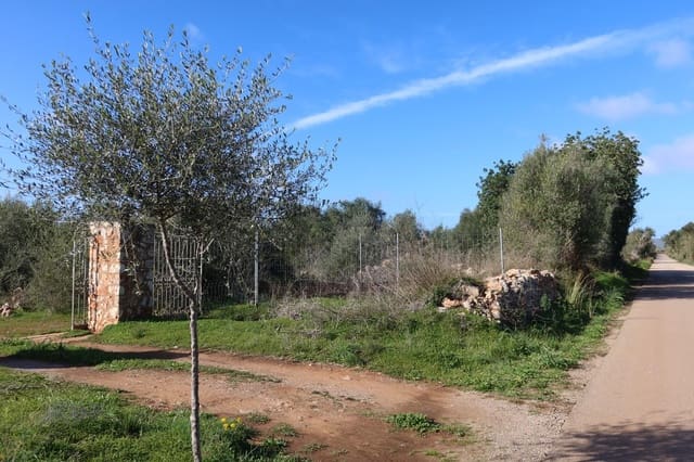 Terreno para Construção para venda em Campos - 315 000 € (Ref: 9516073)