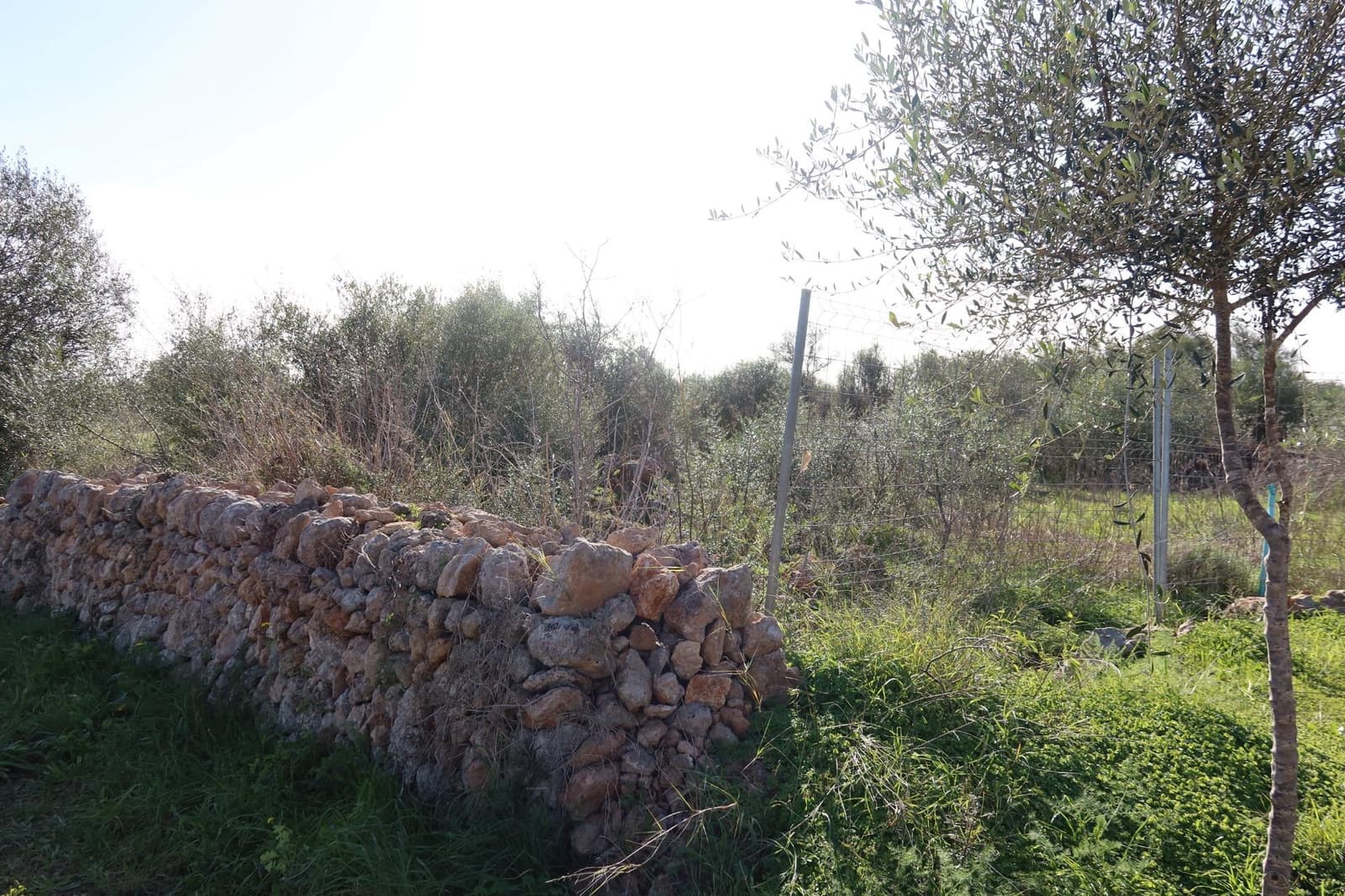 Building Plot for sale in Campos - € 315,000 (Ref: 9516073)