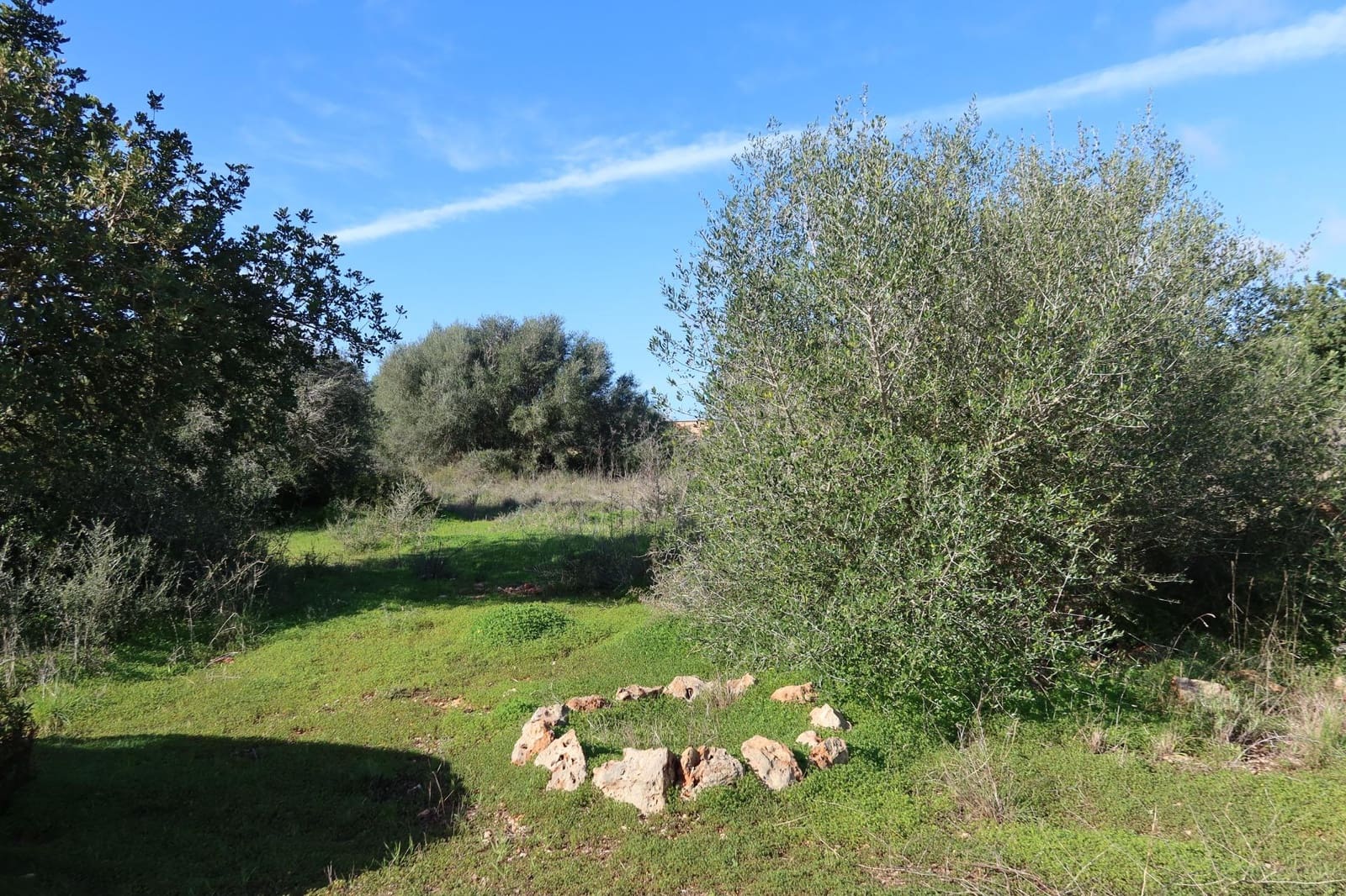 Building Plot for sale in Campos - € 315,000 (Ref: 9516073)