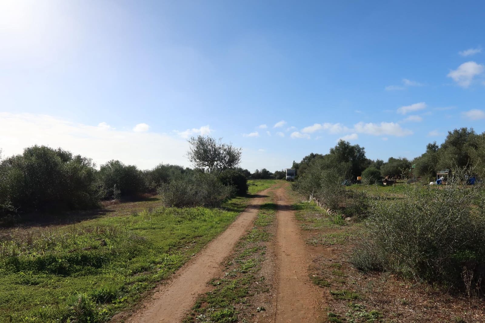 Area Edificabile in vendita in Campos - 315.000 € (Rif: 9516073)