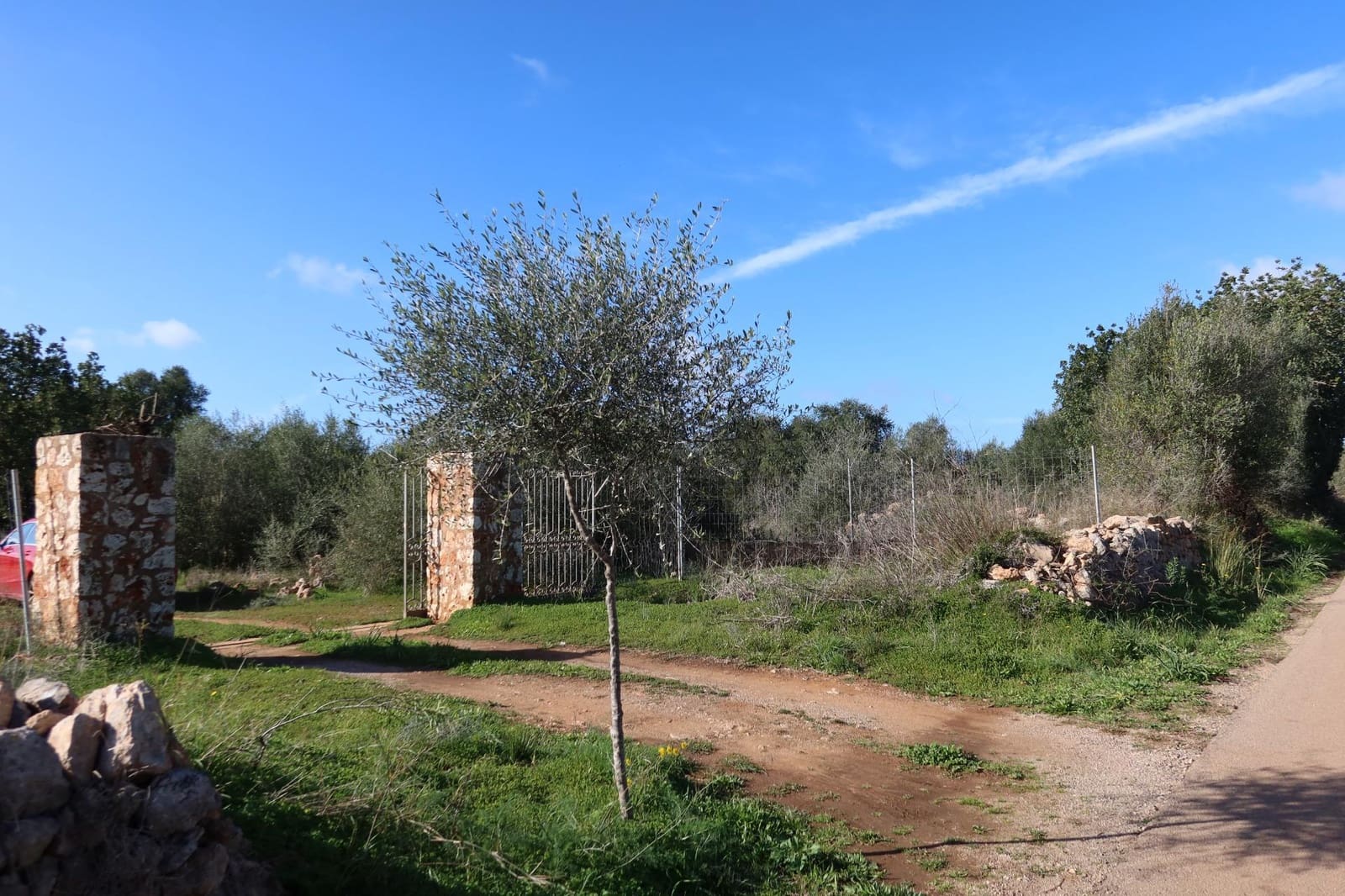 Area Edificabile in vendita in Campos - 315.000 € (Rif: 9516073)