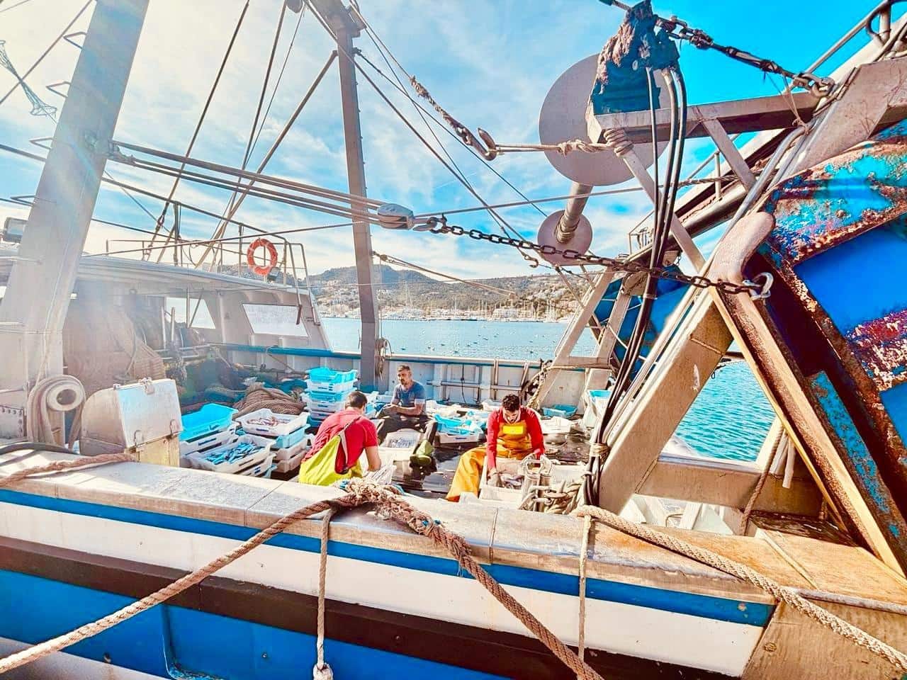 2 sypialnia Mieszkanie do wynajęcia w Puerto de Andratx - 2 000 € (Ref: 9516074)