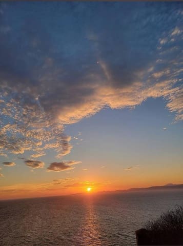 Tontti myytävänä paikassa Llucmajor - 380 000 € (Ref: 9516075)