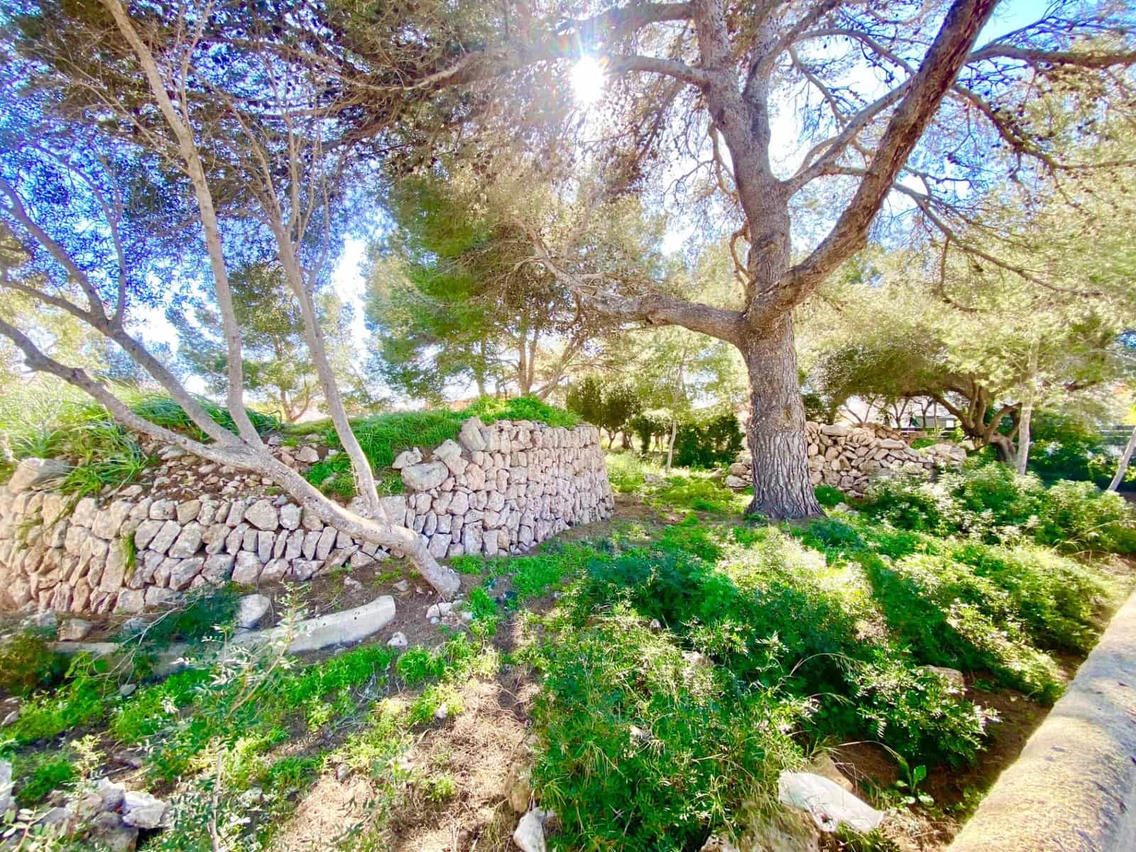 Terrain à Bâtir à vendre à Llucmajor - 380 000 € (Ref: 9516075)