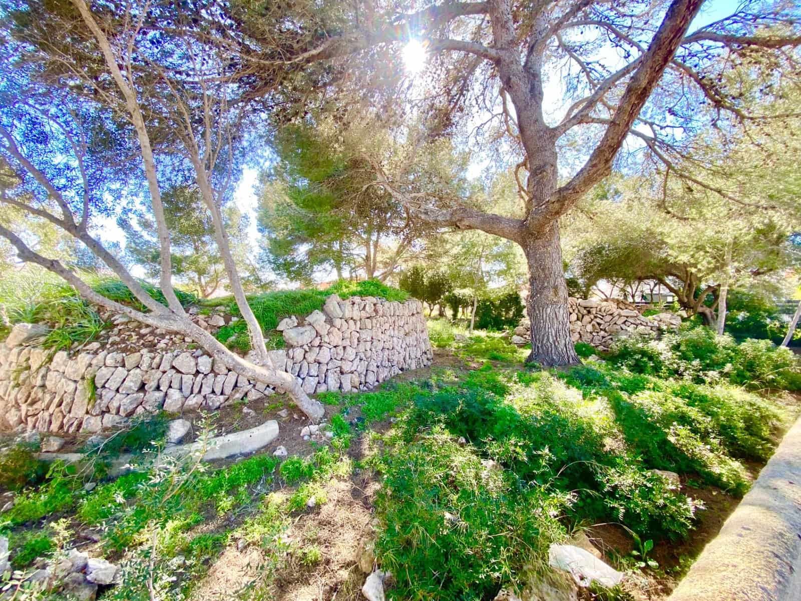 Solar/Parcela en Llucmajor en venta - 380.000 € (Ref: 9516075)