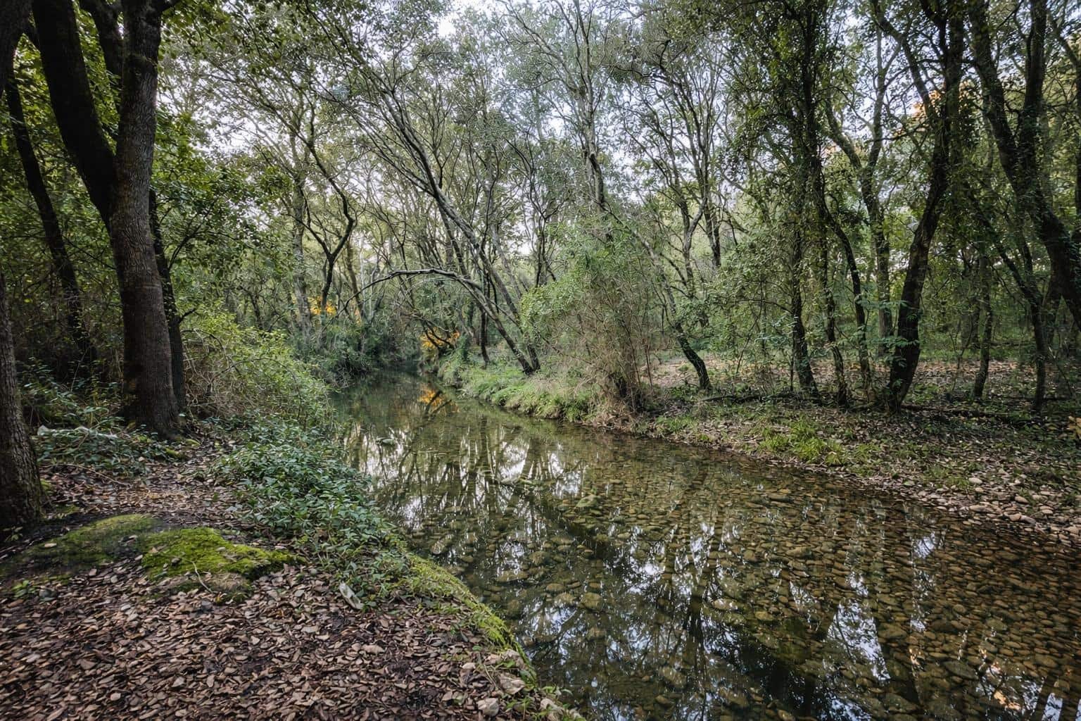 3 quarto Quinta/Casa Rural para venda em Buger com garagem - 1 160 000 € (Ref: 9518871)