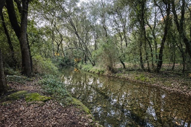 Finca/Casa Rural de 3 habitaciones en Búger en venta con garaje - 875.000 € (Ref: 9518871)