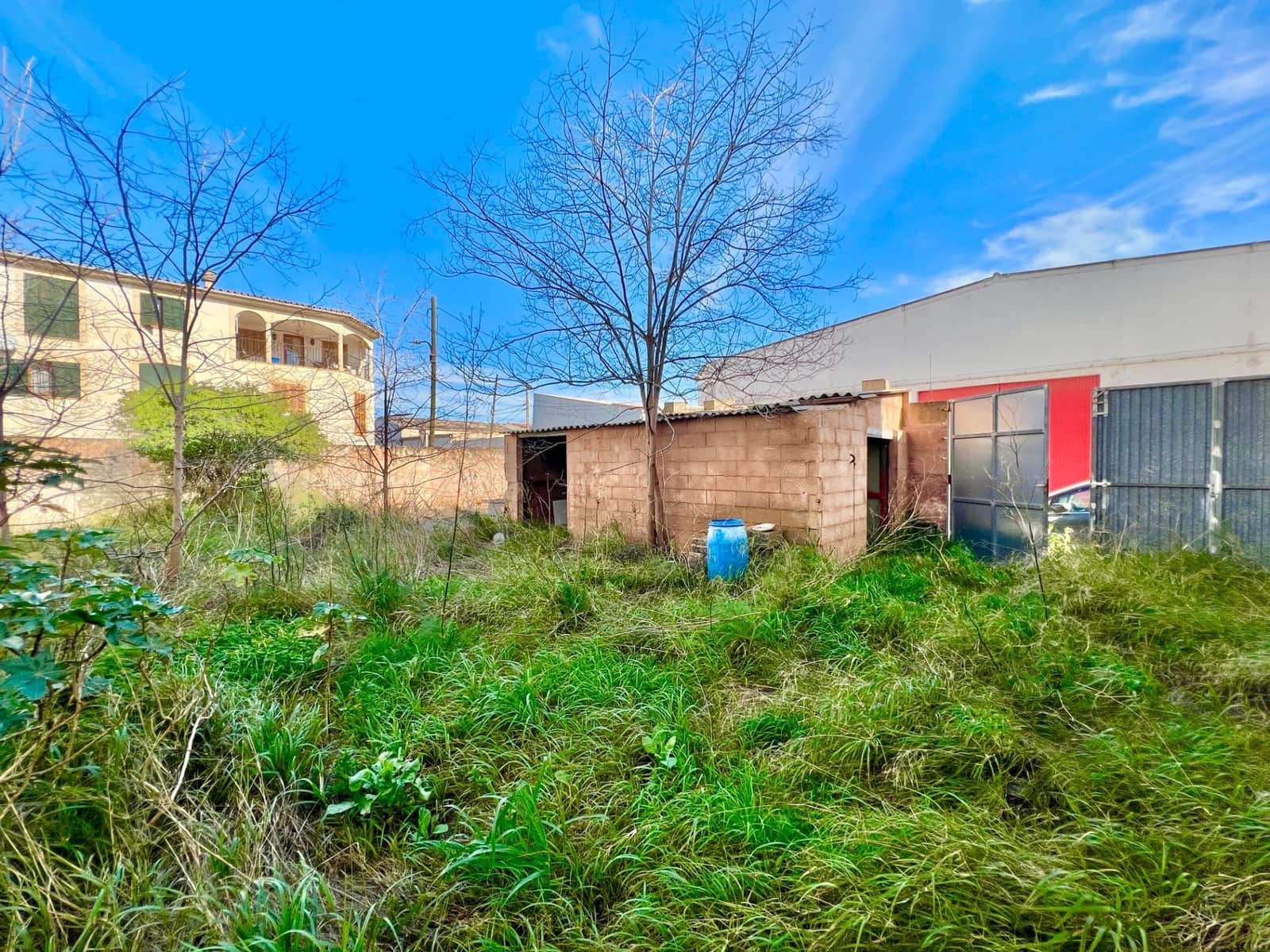 Area Edificabile in vendita in Campos - 290.000 € (Rif: 9639480)