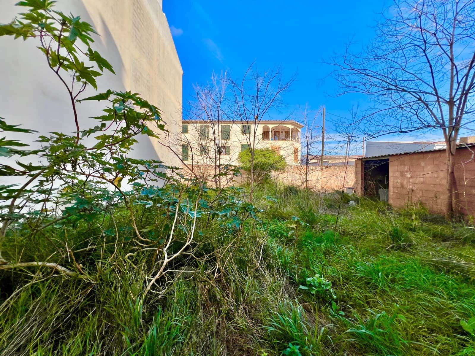 Area Edificabile in vendita in Campos - 275.000 € (Rif: 9639480)