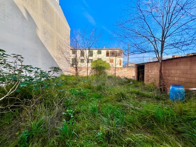 Terreno para Construção para venda em Campos - 275 000 € (Ref: 9639480)