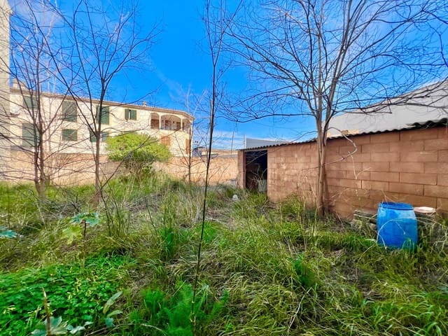 Terreno para Construção para venda em Campos - 275 000 € (Ref: 9639480)
