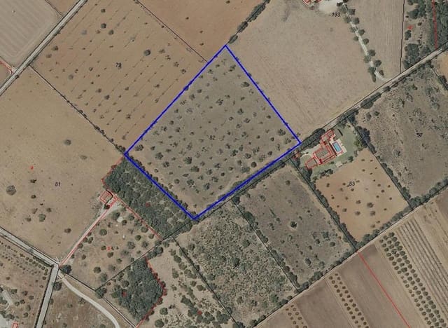 Ubebygd land til salgs i Campos - € 220 000 (Ref: 9659385)