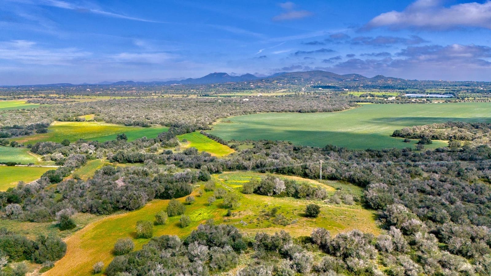 Building Plot for sale in Santanyi - € 1,350,000 (Ref: 9674172)