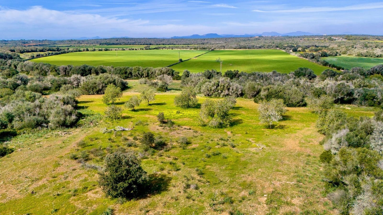 Building Plot for sale in Santanyi - € 1,350,000 (Ref: 9674172)