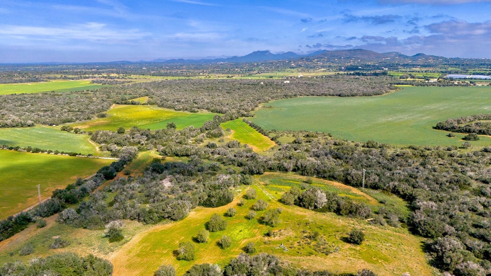 Building Plot for sale in Santanyi - € 1,350,000 (Ref: 9674172)