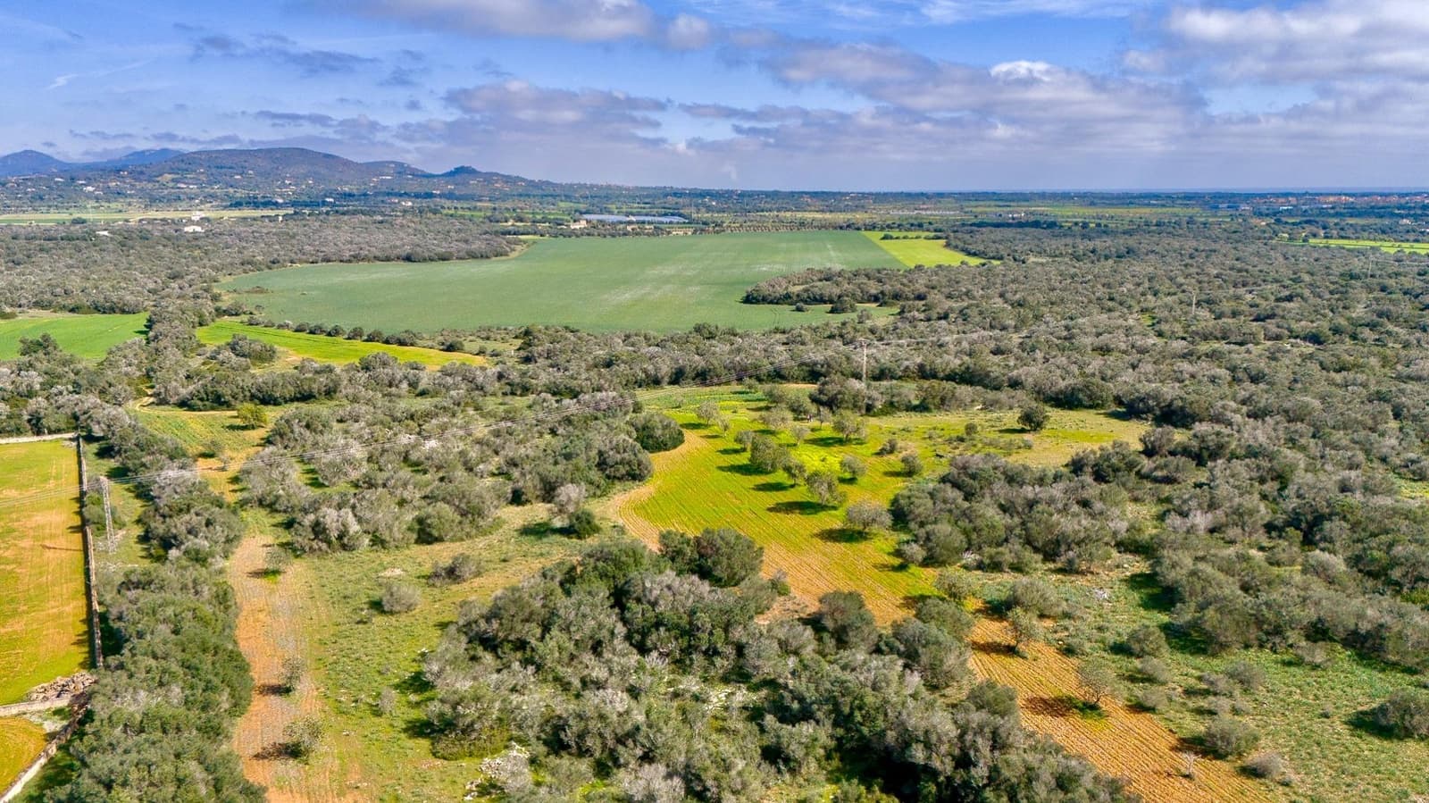 Building Plot for sale in Santanyi - € 1,350,000 (Ref: 9674172)