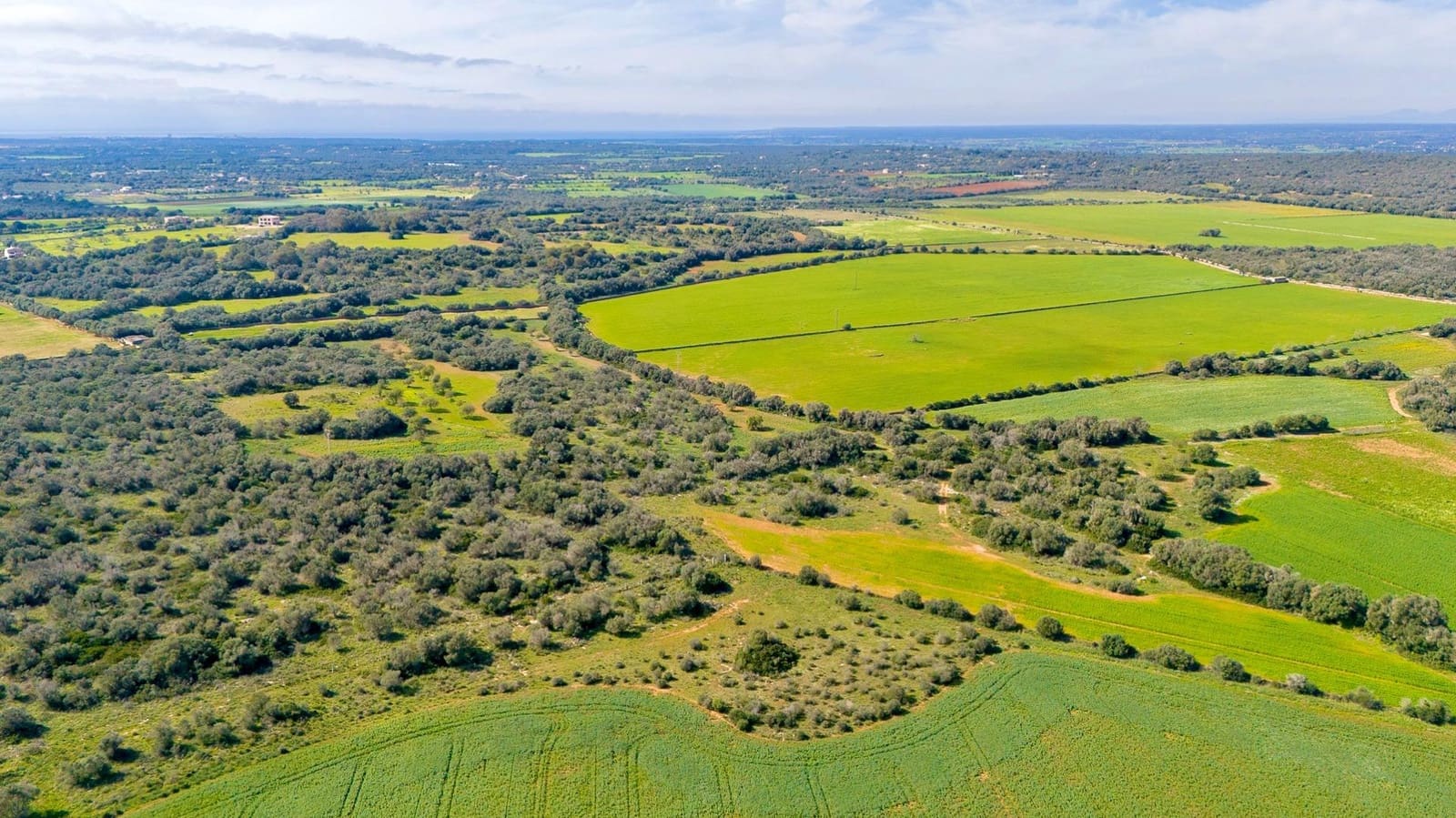 Building Plot for sale in Santanyi - € 1,350,000 (Ref: 9674172)