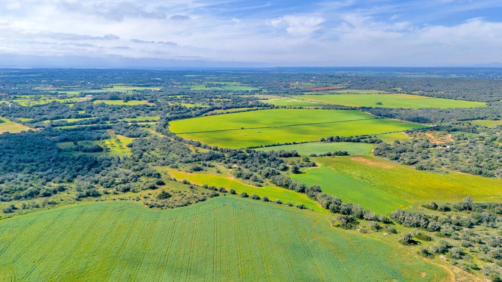 Building Plot for sale in Santanyi - € 1,350,000 (Ref: 9674172)