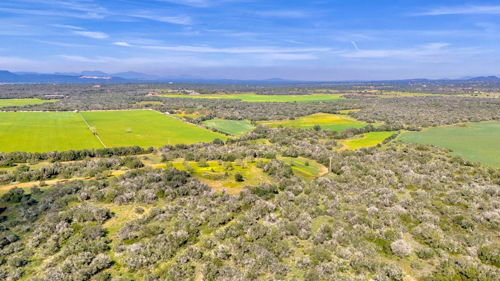 Building Plot for sale in Santanyi - € 1,350,000 (Ref: 9674172)