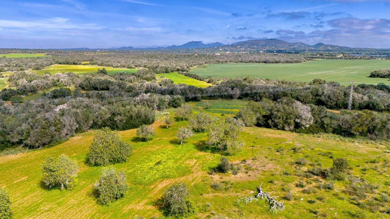 Building Plot for sale in Santanyi - € 1,350,000 (Ref: 9674172)
